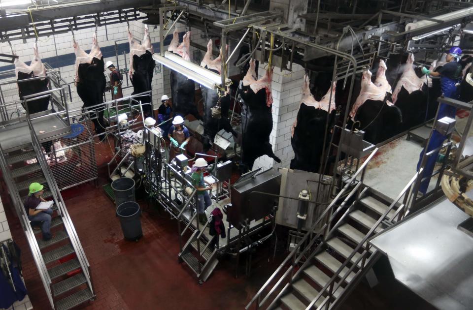 Beef gets processed at the Cargill Beef Processing Plant in Schuyler, Nebraska October 10, 2013. REUTERS/Lane Hickenbottom (UNITED STATES - Tags: ANIMALS FOOD SOCIETY)