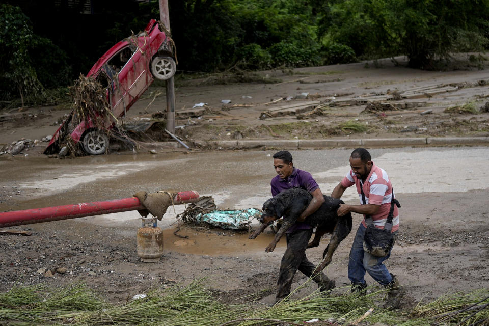 Men carry a dog rescued from the mud after flooding caused by intense rains in Las Tejerias, Venezuela, Sunday, Oct. 9, 2022. (AP Photo/Matias Delacroix)