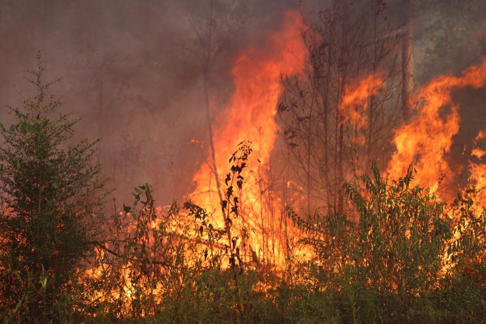 The Tiger Island Fire in Louisiana has burned more than 30,000 acres.