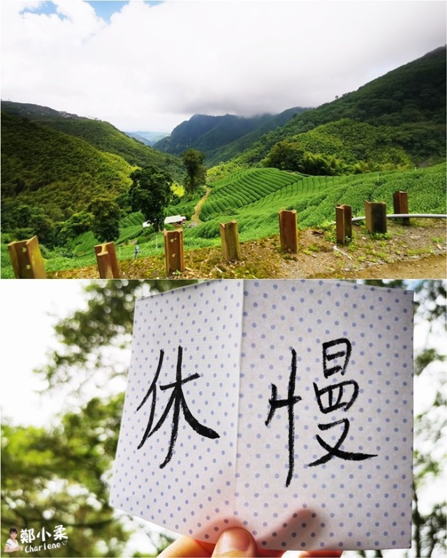 南投竹山半日遊－菇菇樂園｜茶農舍｜孟宗竹蔭隧道～品高山咖啡，喝竹筒