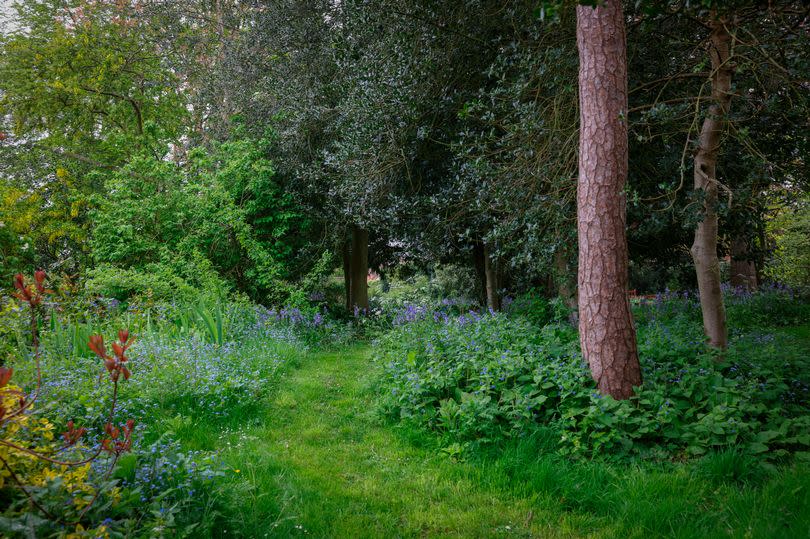 A wild garden that can be used by customers of Bumbles Tea Shoppe & Bakery in Epperstone