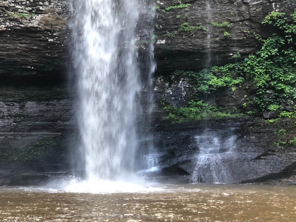 Cloudland Canyon is one of Georgia's largest state parks.