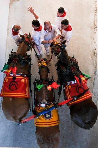 Las fotos que nadie enseña de San Fermín: esto es lo que ocurre tras la muerte de un toro