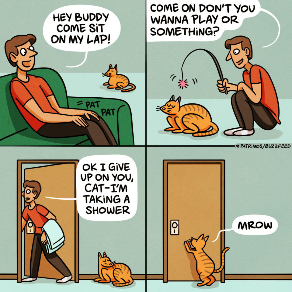 cartoon about cats