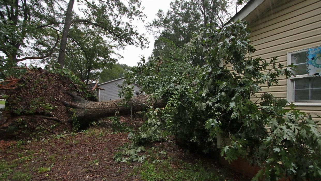 A tree fell on her home on Bryant Street in Gastonia where Elizabeth and Elisa Combs were living early Thursday morning, Aug. 8, 2024, as Tropical Storm Debby brought heavy rain and wind gust to the area.