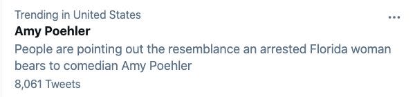 Twitter’s explanation for Poehler’s name trending was: “People are pointing out the resemblance an arrested Florida woman bears to comedian Amy Poehler.” (Photo: Screenshot via Twitter)
