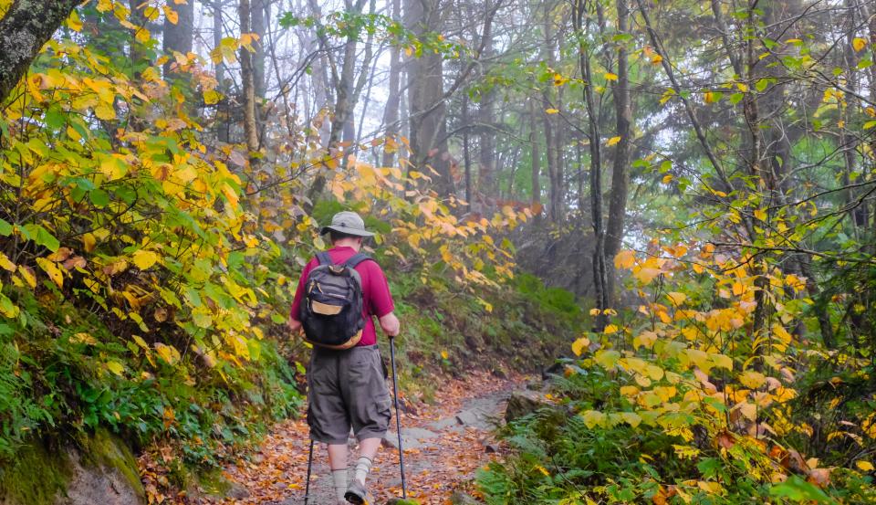 Outdoor groups say that although hiking is safe, you should do so alone or with people you live with.