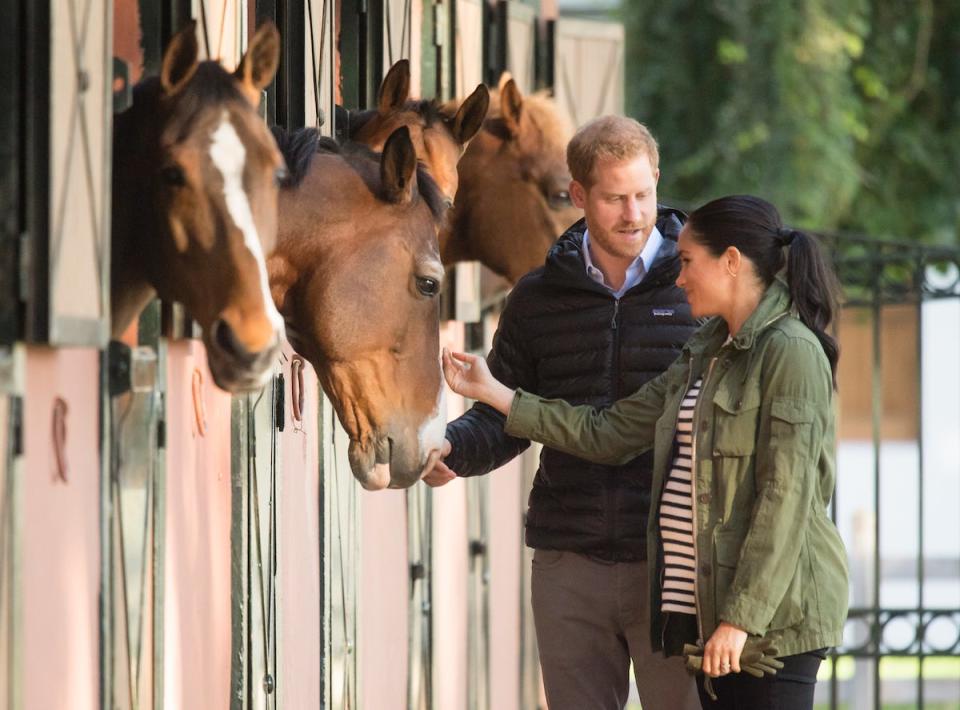 Harry and Meghan horses