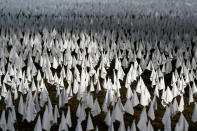 Sun shines on white flags planted as a temporary art installation in remembrance of Americans who have died of COVID-19, Tuesday, Oct. 27, 2020, near Robert F. Kennedy Memorial Stadium in Washington. Artist Suzanne Brennan Firstenberg's installation, called "In America, How Could This Happen," will include an estimated 240,000 flags when completed. (AP Photo/Patrick Semansky)