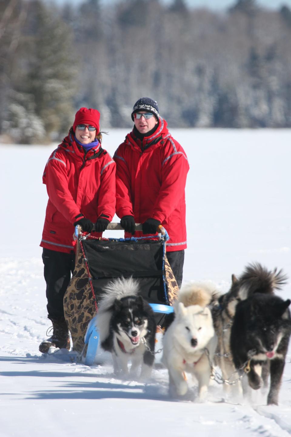 Visitors from all over the world go mushing through Wintergreen Dogsled Lodge to experience northern Minnesota’s wilderness.