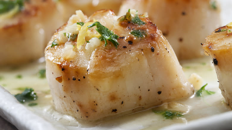 pan-seared scallop with herbs on white plate