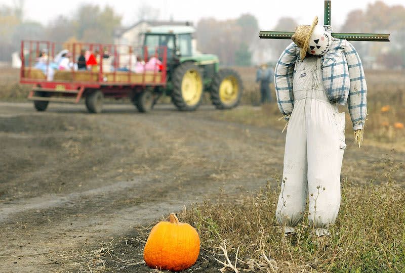 <p>Call me crazy, but I'd rather not<span class="redactor-invisible-space"> spend an evening being chased by a chainsaw-wielding pumpkin patch employee in a werewolf mask</span>. </p>