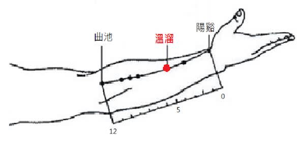 （圖片提供／林佑彥中醫師）