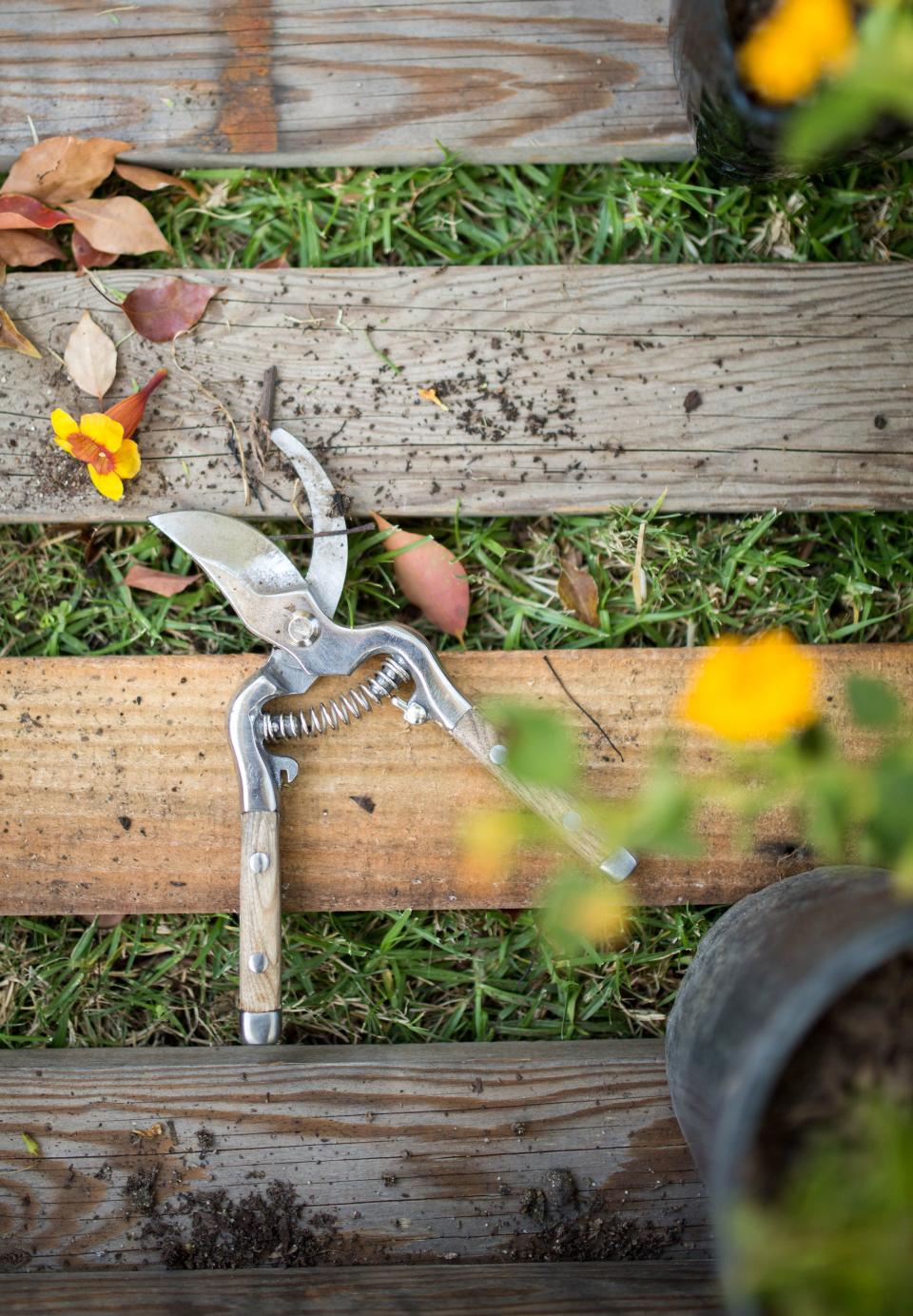 These Insanely Easy-to-Use Garden Shears Will Make Pruning Your New Favorite Job