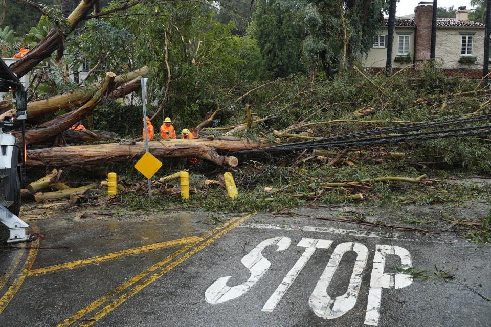 City workers help to remove a eucalyptus tree that fell onto a house and over power lines along Bundy Drive in the Brentwood section of Los Angeles on Tuesday, Feb. 6, 2024. One of the wettest storms in Southern California history unleashed nearly 400 mudslides in the Los Angeles area after dumping more than half of the city's seasonal rainfall in just two days, and officials warned Tuesday that the threat hadn't passed yet. (AP Photo/Damian Dovarganes)