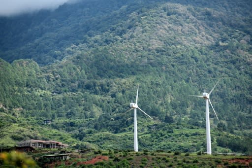 Bhutan's first pair of wind turbines in the village of Rubesa symbolise the Himalayan kingdom's achievement as the world's only carbon negative country