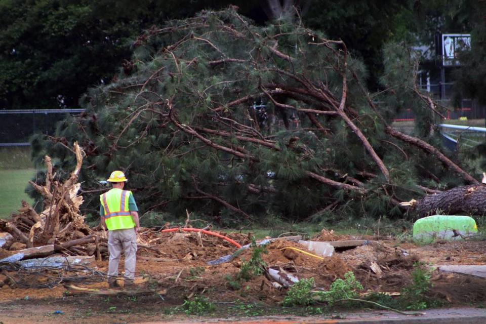Workers took down trees Tuesday at Golden Park in Columbus, Georgia. 05/07/2024 Kala Hunter/khunter@ledger-enquirer.com