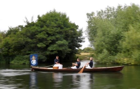 Crew raws along the River Thames looking for cygnets and swans for measuring during the annual counting of the Queen's swans, known as 'Swan Upping' in London