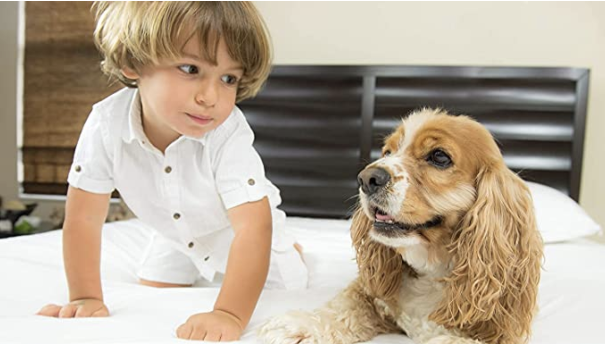 A kid and a dog on a bed