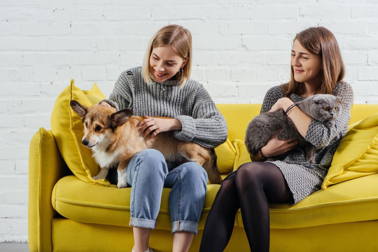 Two young women sitting on yellow sofa holding cat and dog