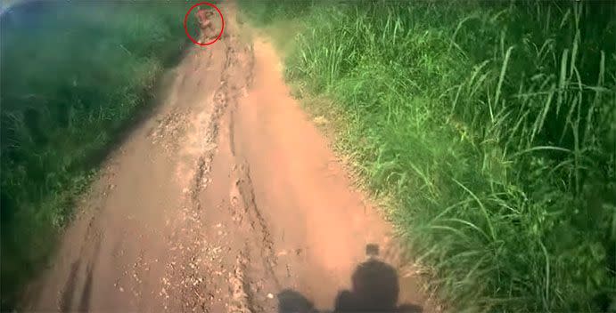 You can see the man running into the bush. Photo: Youtube/Fredography