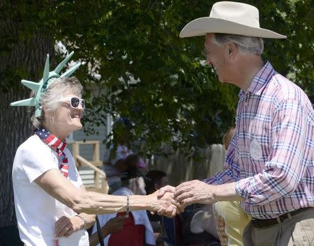 Democratic Senate candidate Dave Domina (R) greets Marilyn Sehi during a parade in the town of Elgin, June 22, 2014. REUTERS/Darin Epperly