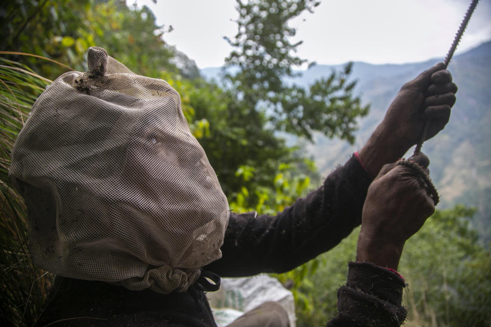 A honey hunter protected by face nets, holds a rope connected to a basket used to collect harvested honey in Dolakha, 115 miles east of Kathmandu, Nepal, Nov. 19, 2021. High up in Nepal's mountains, groups of men risk their lives to harvest much-sought-after wild honey from hives on cliffs. (AP Photo/Niranjan Shrestha)