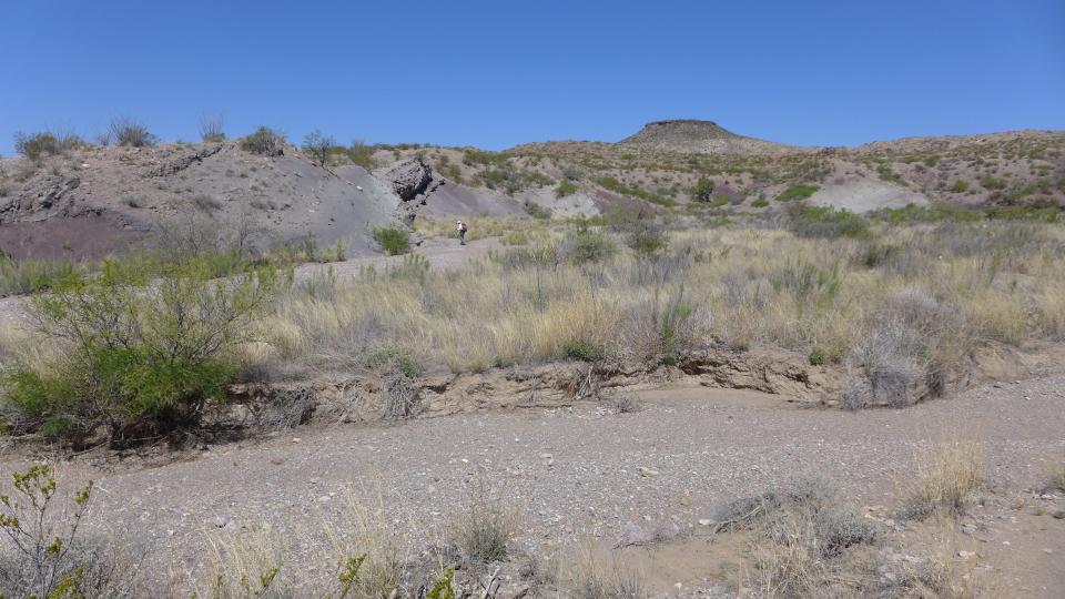 Hall Lake Formation in southwestern New Mexico. This formation has yielded several notable fossil finds
