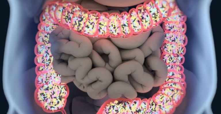 Representación en 3D del microbioma en el intestino.