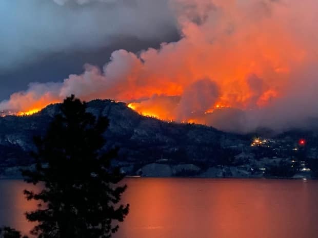 The Christie Mountain fire south of Penticton forced the evacuation of hundreds of homes and multiple wineries during the summer of 2020. (Ellie Sigouin - image credit)