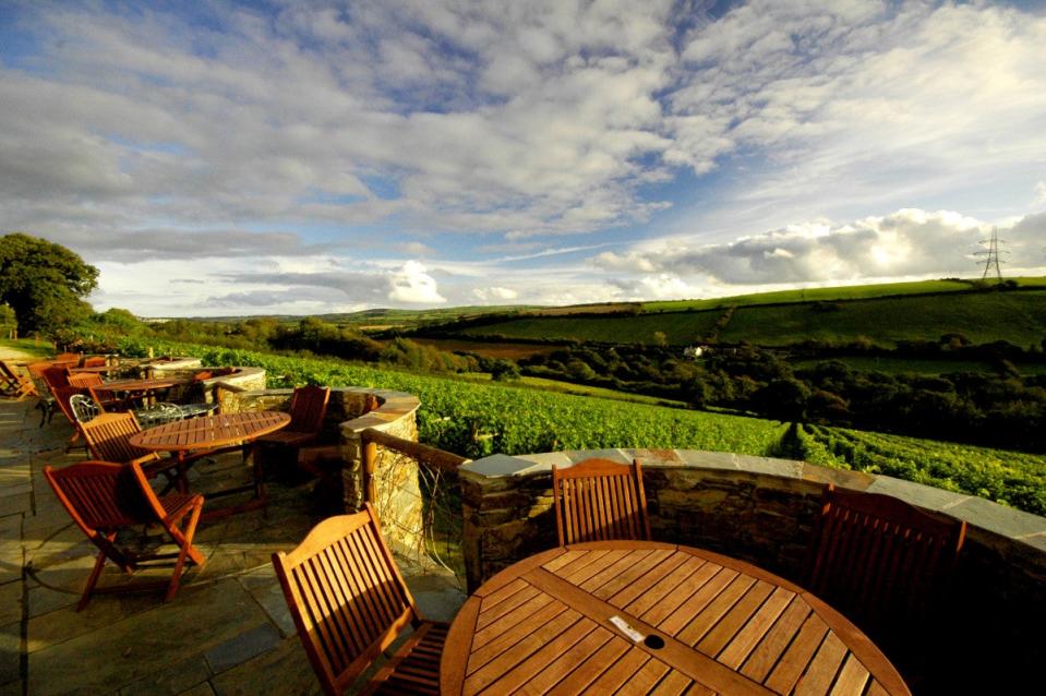 Grab a seat overlooking the vines at Camel Valley (Camel Valley)