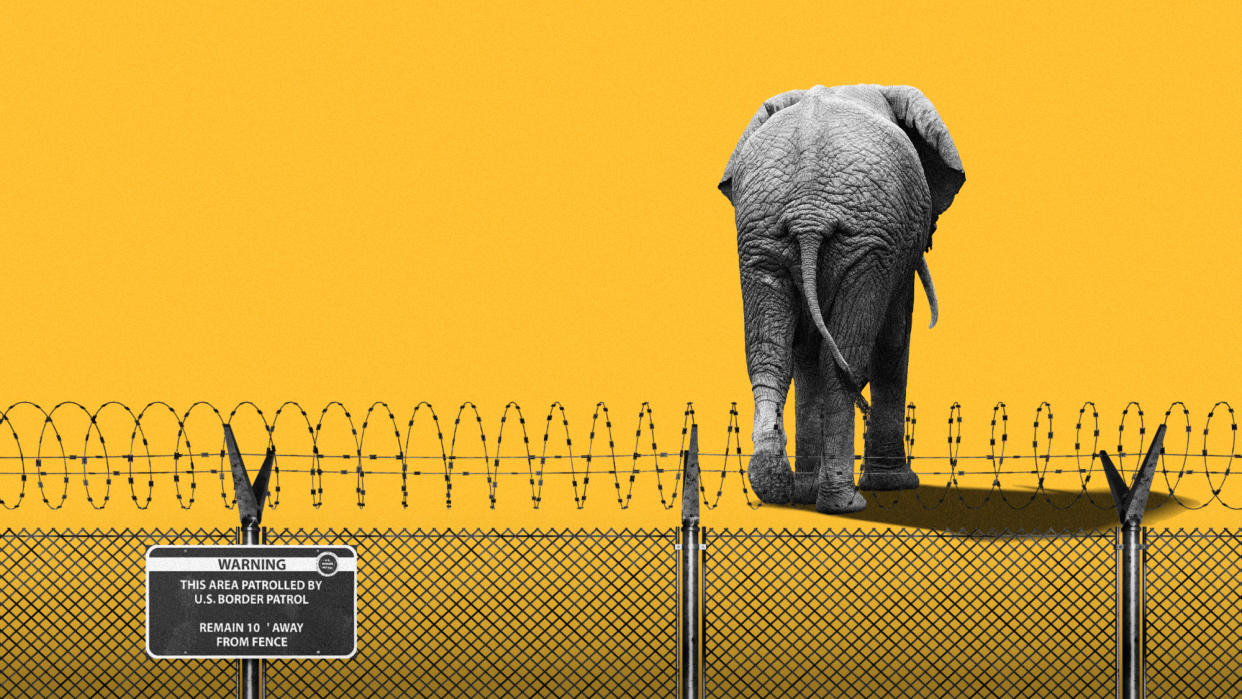  Photo composite of a GOP elephant walking away from the US border fence. 