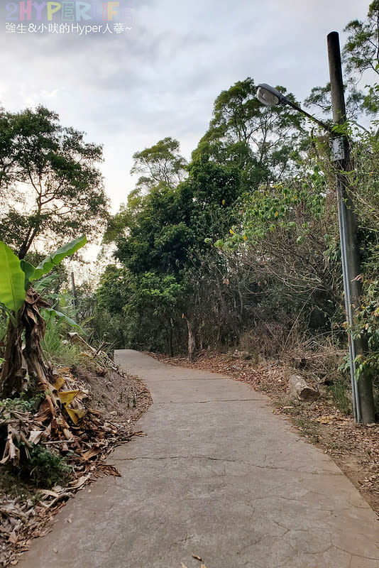 台中大坑六號七號登山步道