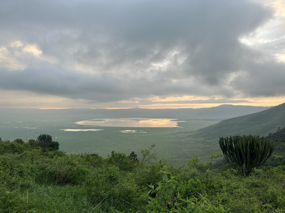 various photos from the ngorongoro crater