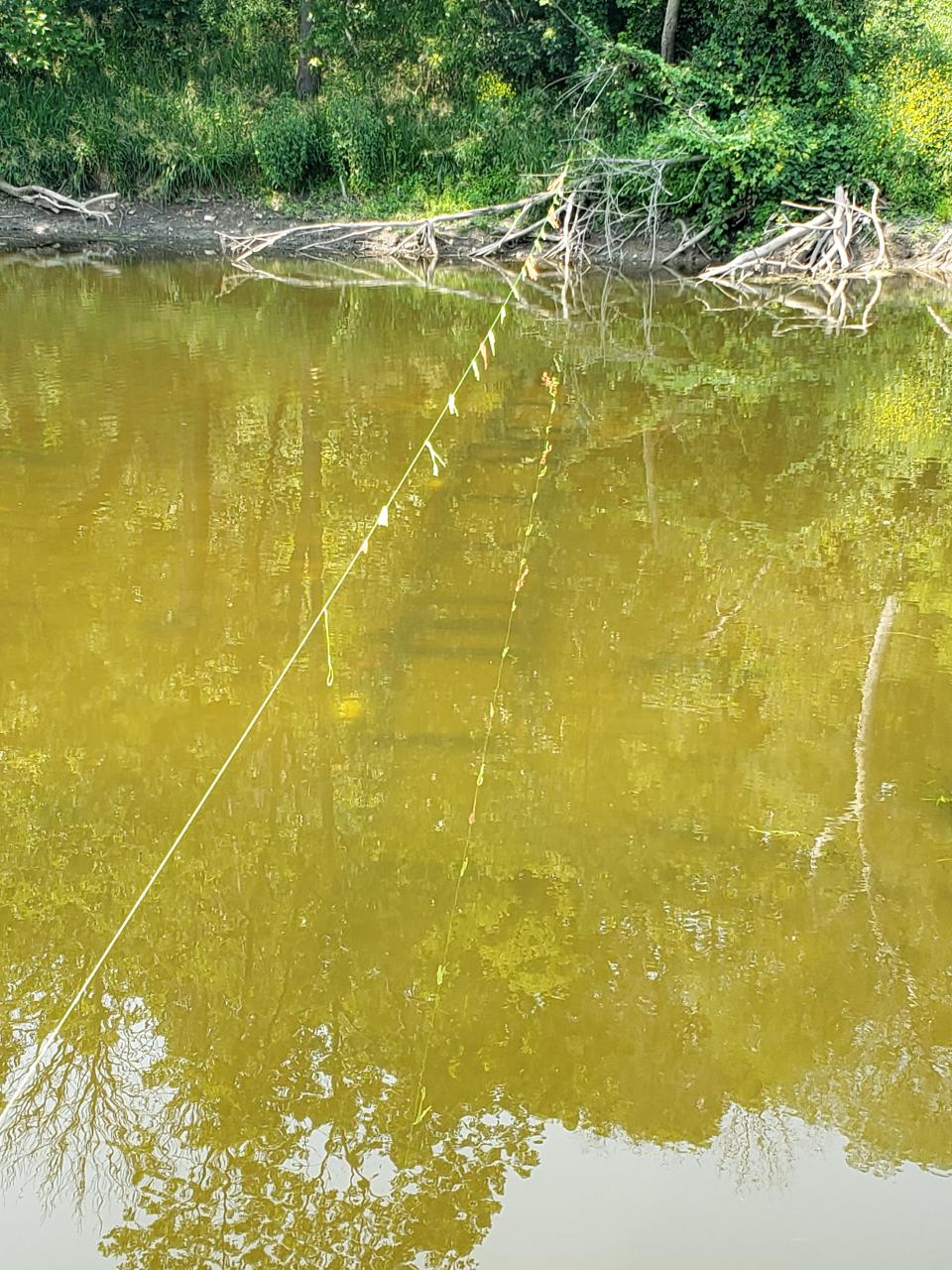 A sensor system designed to detect fish implanted with PIT tags has been installed in the Milwaukee River in Milwaukee. The photo shows the ladder-like pipes that house the antennas on the bottom of the river; a rope was temporarily strung above the water to mark the spot.