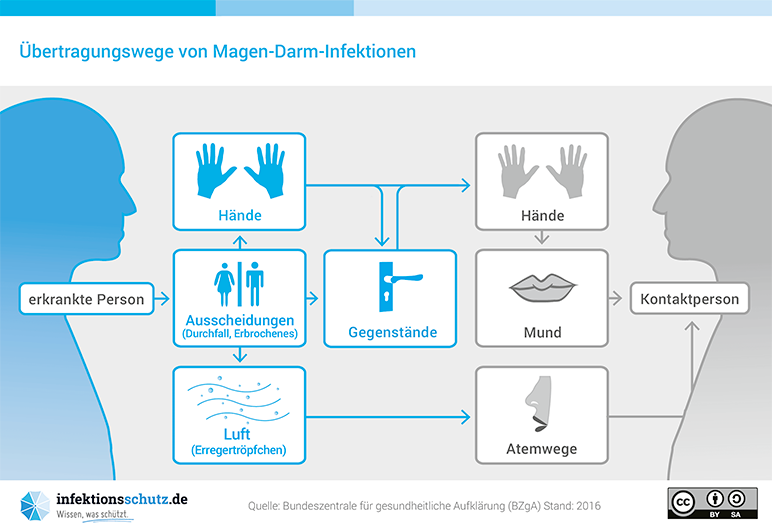 Infografik: Übertragungswege von Magen-Darm-Infektionen I Bundeszentrale für gesundheitliche Aufklärung (BZgA) Stand: 2016