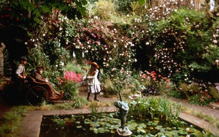 In bloom: the 1993 version of Mary's garden