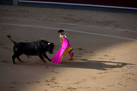 Alberto Lamelas performs a pass as he takes part in a bullfighting during San Isidro festival at Las Ventas bullring in Madrid, Spain, June 5, 2017.REUTERS/Sergio Perez