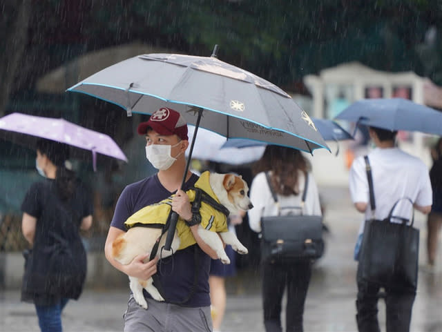 氣象專家吳德榮指出，梅雨滯留鋒20日至24日重返台灣附近南北徘徊，有大量降雨機率。 (photo by 網路截圖)