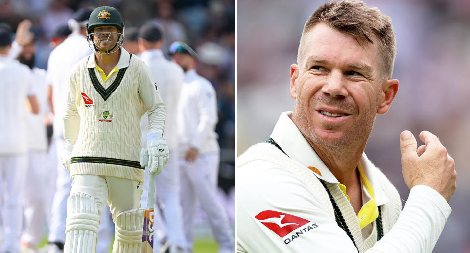 Seen here, Aussie cricket star David Warner.