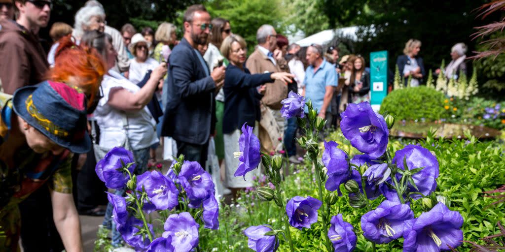 chelsea flower show schedule tv