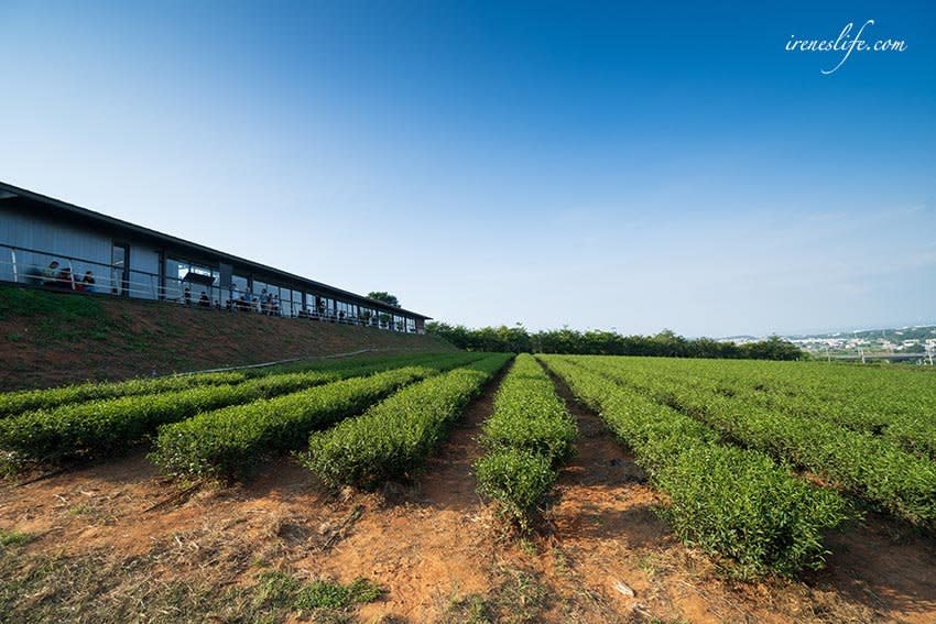 苗栗「銅鑼茶廠」