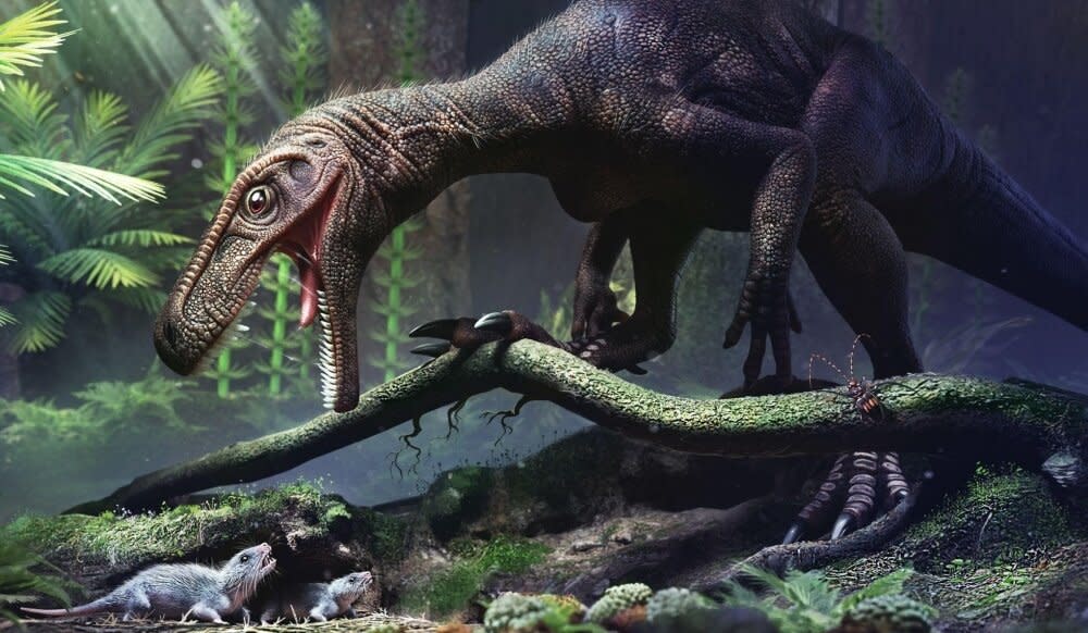 How did dinosaurs evolve to be so big? (illustration: Márcio Castro)