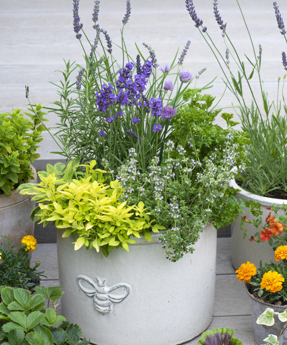 6. PACK A PRETTY PLANTER WITH YOUR FAVORITE HERBS