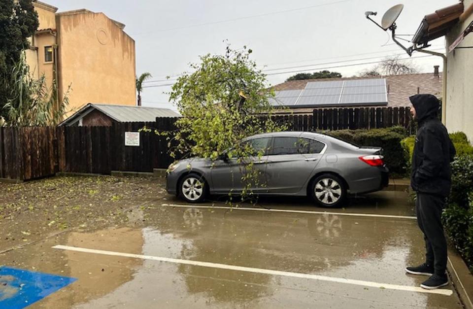 Amid a tornado warning on Wednesday, Feb. 7, 2024, powerful winds knocked down trees and branches on Ramona Avenue in Grover Beach.