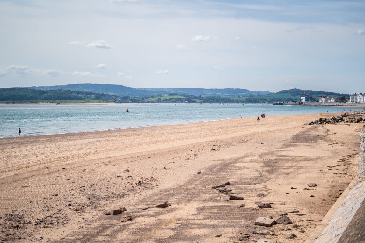 A view over Exmouth Beach  (Richard Collett )