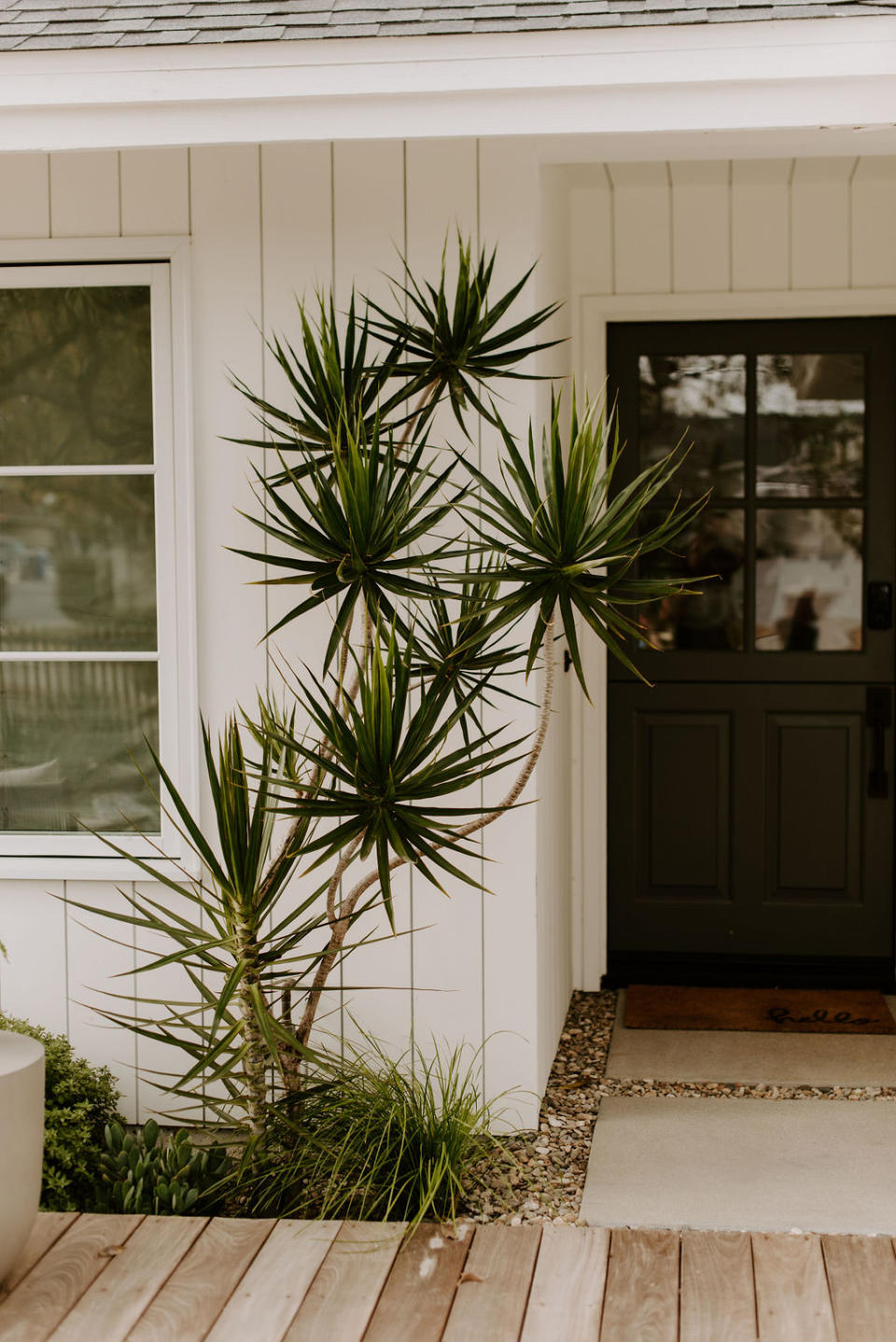 a tree next to a front door