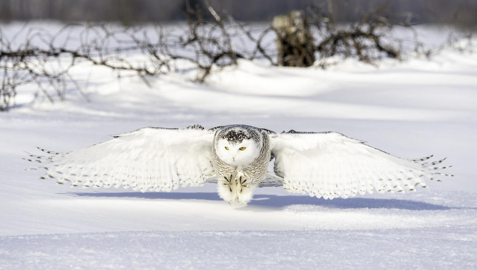 In pics: Flickr's top 25 photos of the year