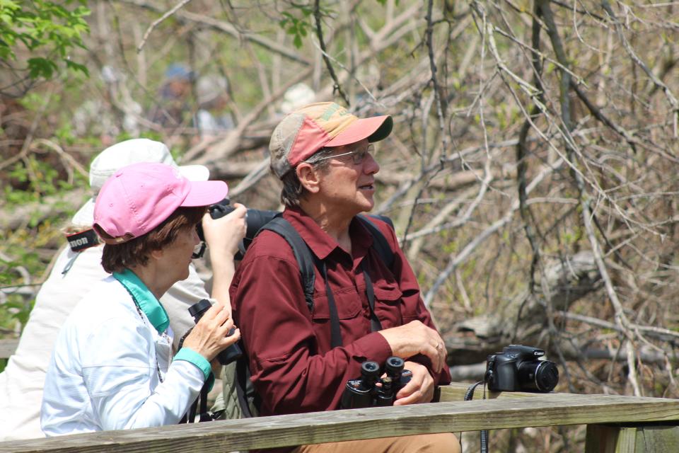 Birders from all over the United States travel to Northwest Ohio and visit birding hot spots like the Magee Marsh Wildlife Area's boardwalk. Warmer weather and a shift in wind direction led to a surge of migratory birds that flew through Magee Marsh and other birding hot spots this week.