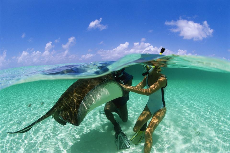 A woman snorkeling touches a stingray underwater.